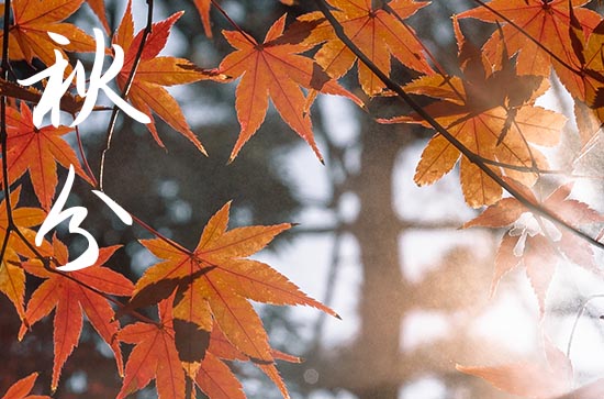 2024年秋分是几月几日 这天是什么星座星期几