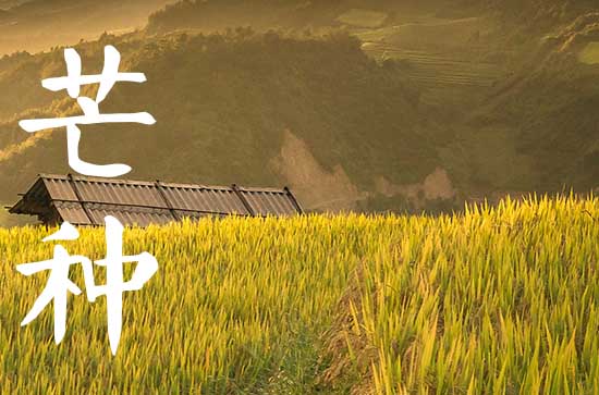 芒种发朋友圈的文案句子（100句）