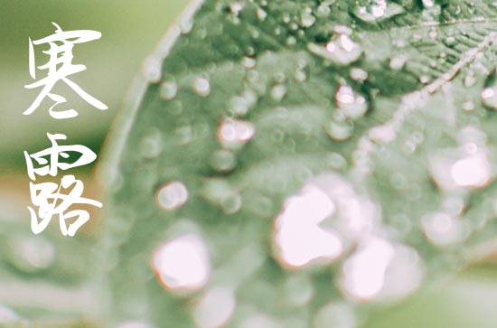 2024年寒露是几月几号 寒露的习俗