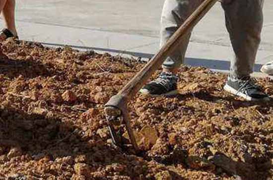 关于劳动的优美句子80句