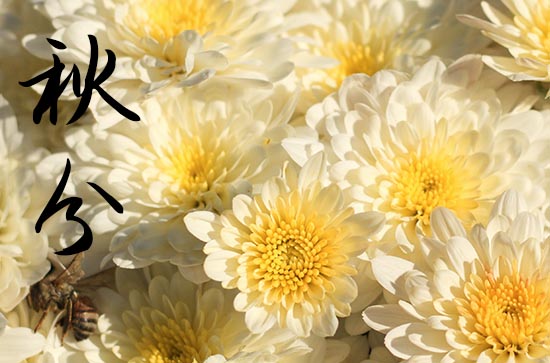 2024年秋分是具体哪一天 今天日子好不好