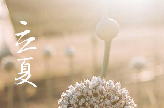 夏季为什么多暴雨天气 夏季天气特点