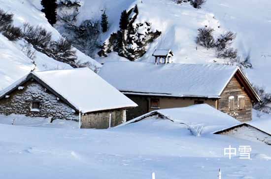 山东12月13日起三天降雪大风降温齐袭 聊城未来三天天气预报 山东12月13日起三天降雪大风降温齐袭 聊城未来三天天气预报