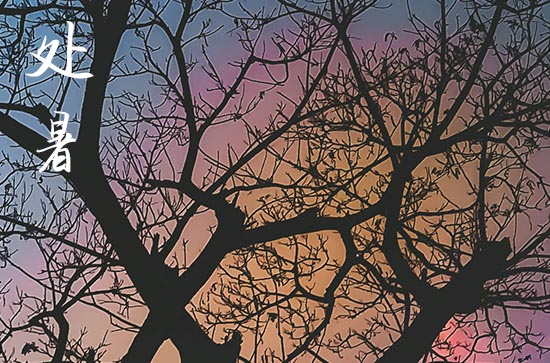 2024年l处暑晚上是不是凉快了