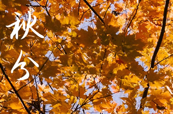 2024年秋分是多少号 2024年9月22日秋分是剪指甲吉日吗