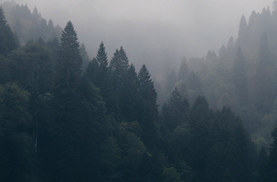 吴忠今日天气好不好 2024年8月22日今日黄历 吴忠今日天气好不好 2024年8月22日今日黄历