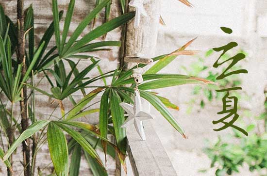 2023年立夏是什么时候,具体时间是几点几分几秒 2023年立夏是什么时候,具体时间是几点几分几秒