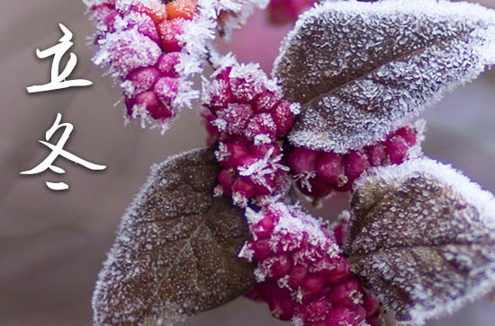 2024年立冬几月几日 2024立冬当天可以旅游吗