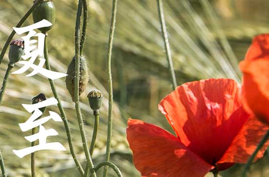 2023年夏至是几月几日