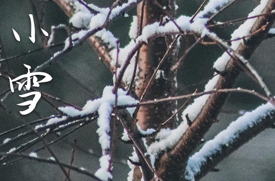 今日小雪时间是几点2023年 小雪是几月几2023年