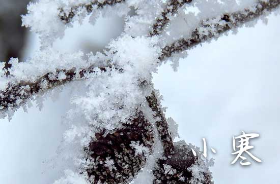 2025年小寒是几月几号