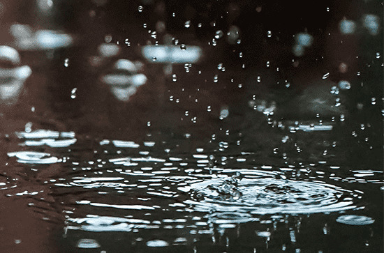                     广东19日仍多阴雨局地暴雨 珠江三角洲粤北等地雨势猛烈                    