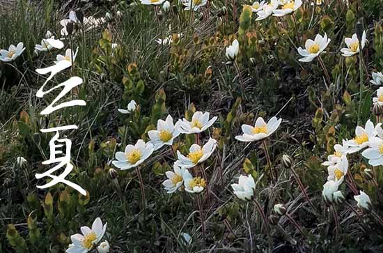 2024年5月5日几点立夏