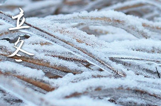 立冬2024年是几月几日星期几 2024年立冬搬新屋可以吗