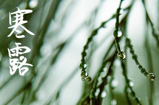 2024年什么时候寒露 寒露历史渊源