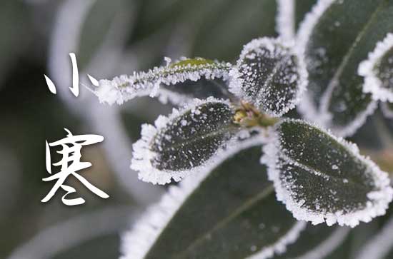 2025年小寒是阴历几月几日 小寒历史渊源 2025年小寒是阴历几月几日 小寒历史渊源