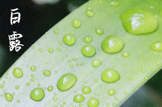 白露节气适合吃的食物 白露时节食用的食品