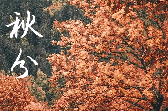 秋分是几月几号2024年 2024年秋分弄制作棺材好不好