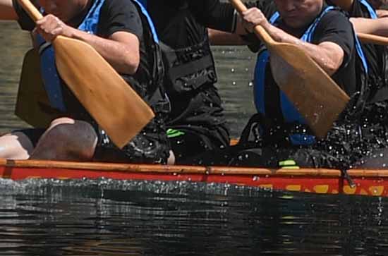 端午捕捉蟾蜍的习俗 关于五月捉取蟾蜍的故事