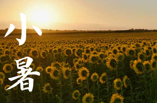 小暑热还是大暑热 小暑和大暑相差几天 小暑热还是大暑热 小暑和大暑相差几天