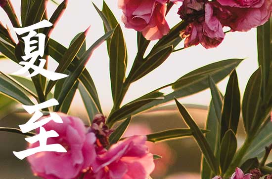 夏至是什么意思是入伏吗