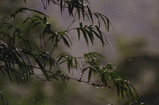 迪庆7月14日天气预报:高温18℃~低温9℃，小雨转雨，会下雨