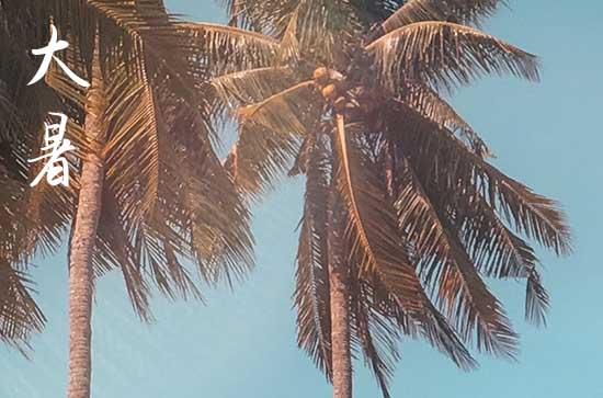 2024年大暑是几月几日星期几几点