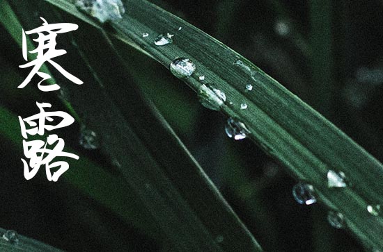 2024年寒露是几月几日 寒露养生