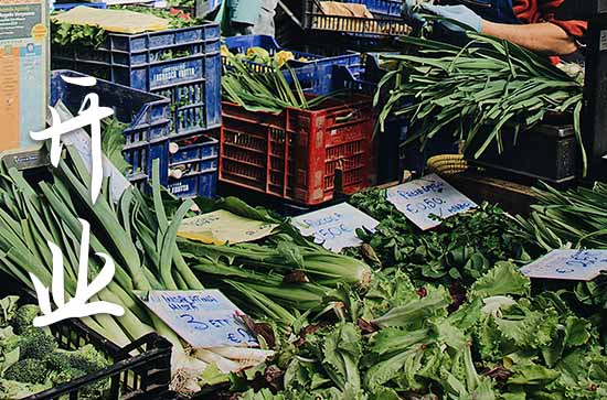 农历九月属蛇店铺开张黄道吉日查询 2024年属蛇农历九月最佳的店铺开张日子