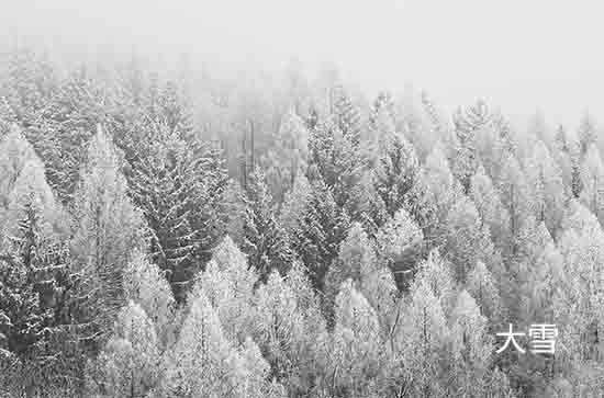 河北今明天大范围降雪来袭气温下降幅超8℃ 廊坊未来三天天气预报