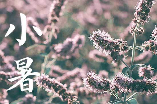 小暑节气什么时候降水最多 小暑节气的传统食物