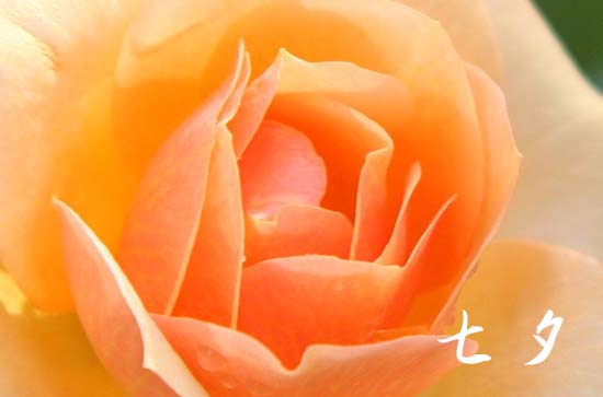 2024七夕送什么礼物给男朋友 小众但有创意的七夕礼物