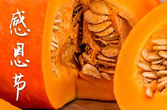 2024年哪天是感恩节 2024年哪天是感恩节