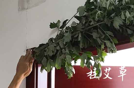 2024端午节阳历准确是几月几号 2024年端午节做生意适合吗 2024端午节阳历准确是几月几号 2024年端午节做生意适合吗