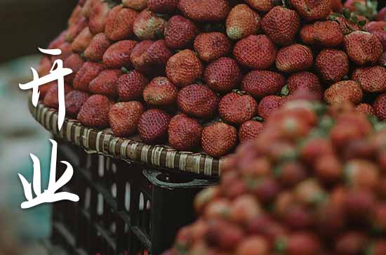 农历十月属羊开张黄道吉日查询 2024年属羊农历十月最佳的开张吉日