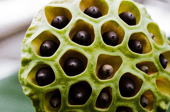 每年三伏天都是四十天吗 三伏天养生方法 每年三伏天都是四十天吗 三伏天养生方法