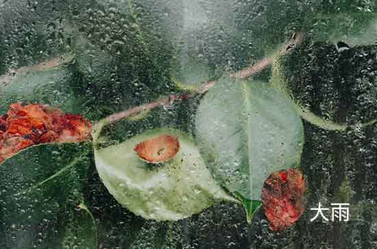 6月14日温州会下雨 今日中到大雨温度25℃~22℃ 6月14日温州会下雨 今日中到大雨温度25℃~22℃