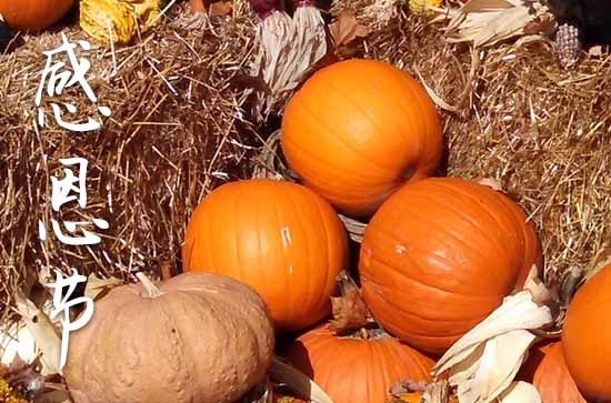 今年感恩节是几号2024 感恩节的习俗