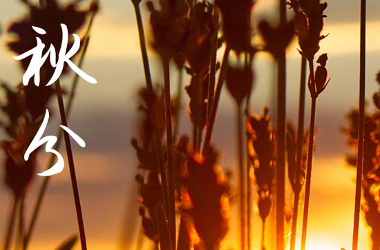 2024年秋分是什么时候 2024年9月22日秋分公司注册适合吗