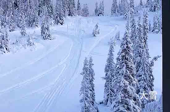 今日万圣节前夜 漠河天气大雪转小雪低温-12℃