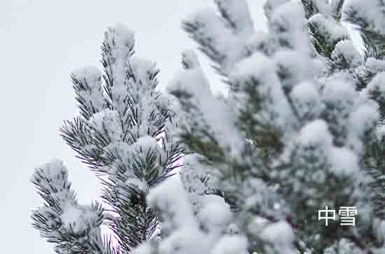 山东12月13日起三天降雪大风降温齐袭 淄博未来三天天气预报