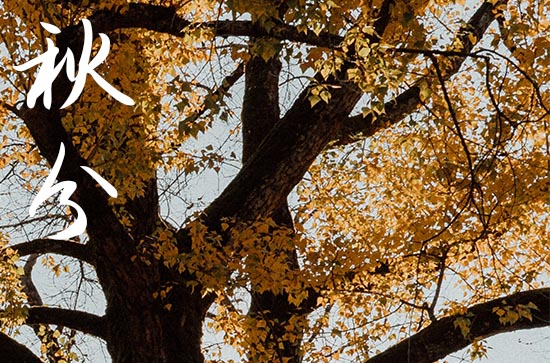 2024秋分是哪天 2024年9月22日秋分这天举办婚礼好吗