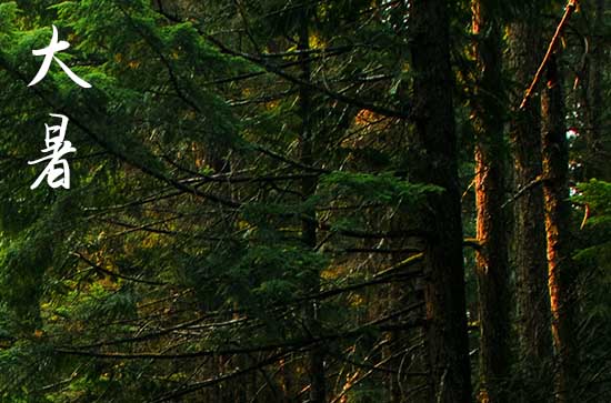 2024年大暑是几月几号? 2024年大暑是几月几号?