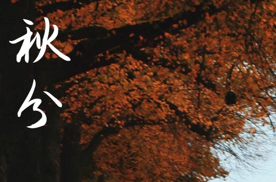 秋分养生祝福语(通用40句) 秋分养生祝福语(通用40句)