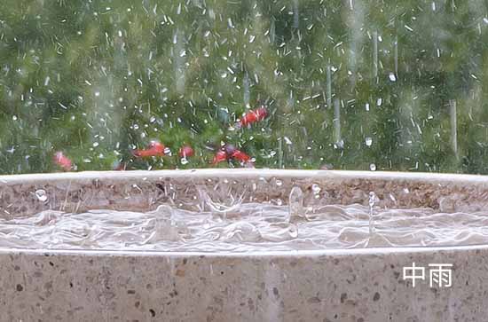 8月20日营口会下雨 今日小到中雨转中到大雨温度28℃~23℃