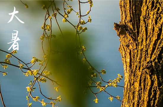204年大暑是几月几日几时几分 204年大暑是几月几日几时几分