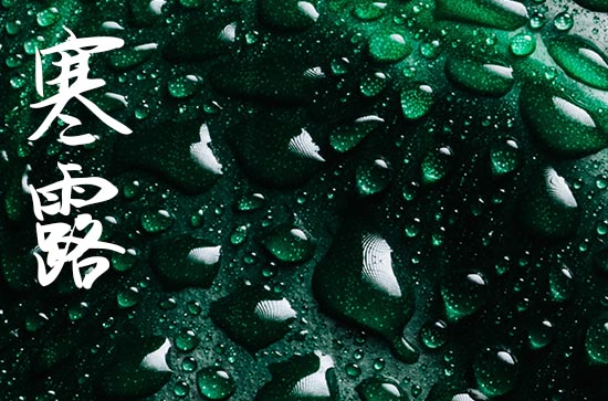 寒露是几月几号2024 寒露三候