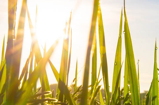 抚州今日天气好不好 2024年11月13日是黄道吉日吗