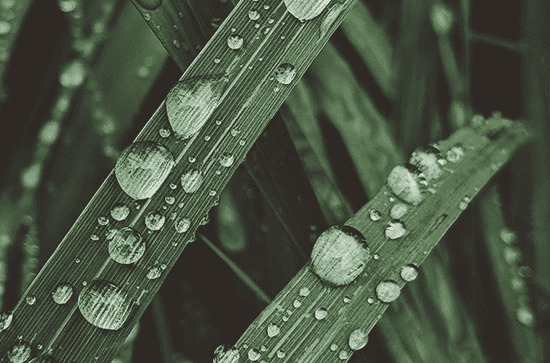 下雨天气发朋友圈经典文案80句