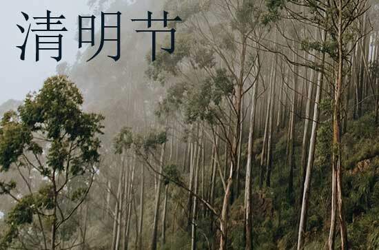 清明节2024年是几月几日星期几 2024清明节那天喝喜酒好不好